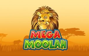Options bancaires Mega Moolah : tout ce que vous devez savoir