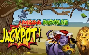 Mega Moolah og Wowpot – jackpoter når nye høyder!